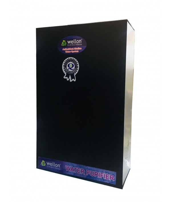 Wellon 10 plate Industrial Water Ionizer Machine.